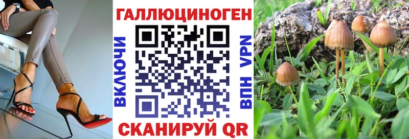 Купить где  Североморск  Псилоцибиновые грибы Psilocybine cubensis 